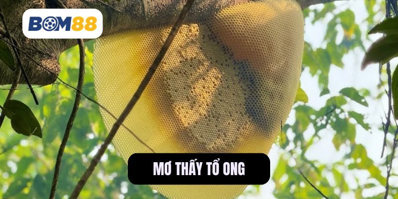 BOM88 Mơ Thấy Tổ Ong - Biểu Tượng Của Sự May Mắn Hay Biến Động?